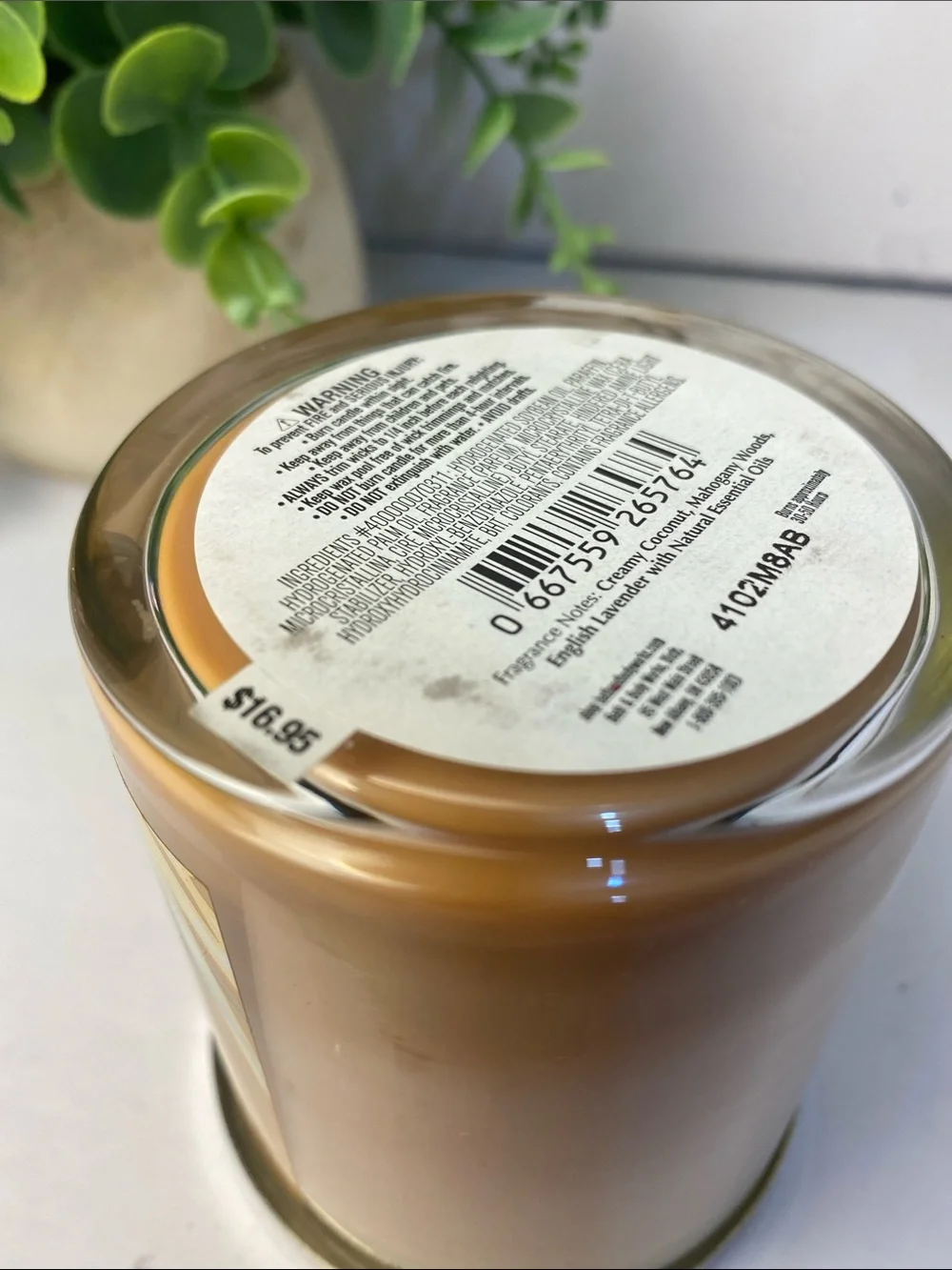Bath & Body Works “Mahogany Coconut” Single Wick Candle